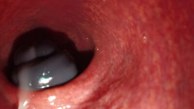 КАМЕРА ВНУТРИ ПИЗДЫ, КОНЧАНИЕ КРУПНЫМ ПЛАНОМ (скрытая камера)Порно,секс.анал,инцест,Минет,Милфы,лесбиянки