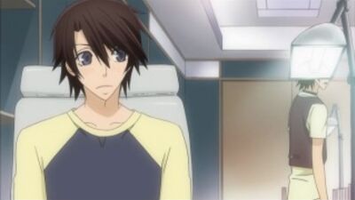 [AniFilm] Sekai-Ichi Hatsukoi / Лучшая В Мире Первая Любовь [TV][2011][05 of 12][E-Rotic & ZENDOS]