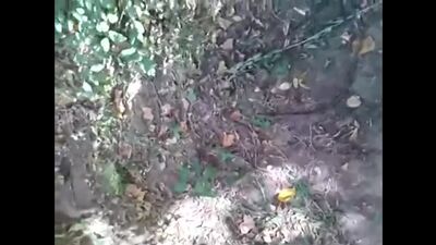 Вышла с другом на прогулку, предложил леденец пососать, поняла буквально, отсос в кустах