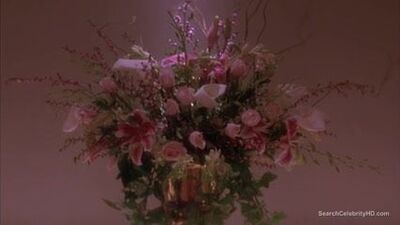 Debi Mazar обнаженная - деньги даром