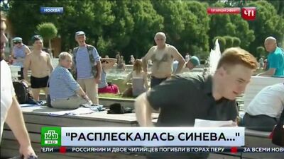 Корреспондента НТВ избили на праздновании дня ВДВ