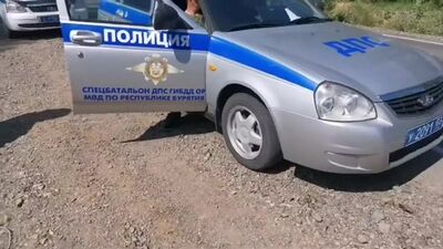 Шаман Идёт!!!