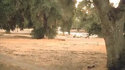 Gabrielle Anwar - 9 десятых