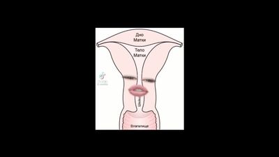 - Что ты хочешь? - Сосисочку!