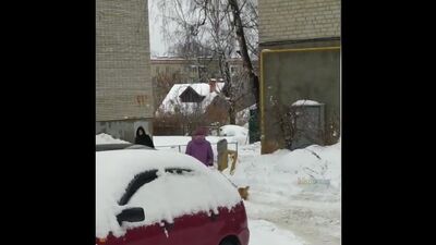 Хозяйкааа! Коты на поводке не гуляююююют! 