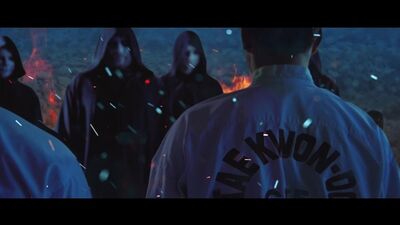 БЕЛЫЕ ХОДОКИ | Рекламная кампания 20-летия Школы боевых искусств Анатолия Чиканчи