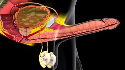 МУЖСКОЙ ОРГАЗМ_ открою все секреты к 23 февраля