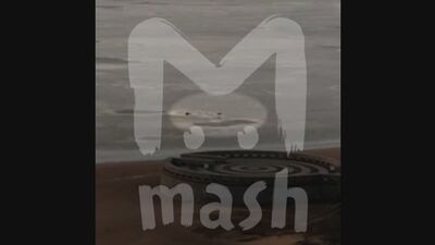 В Питере девушка провалилась под лёд, спасая свою собаку