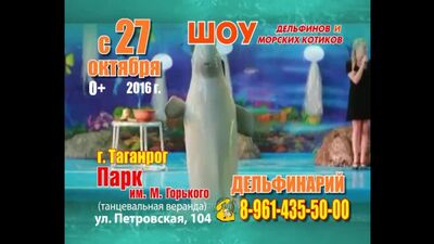 Дельфинарий в Таганроге 2016