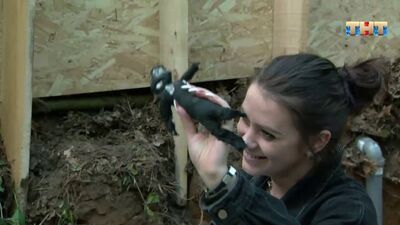 Школа экстрасенсов: Игнатенко против Генрих