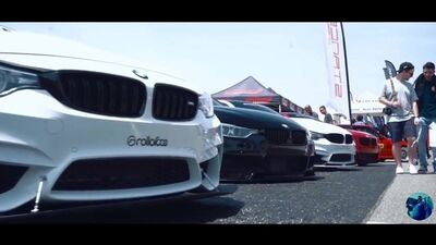 Terry - The Mega (Смотреть Клипы 2018)