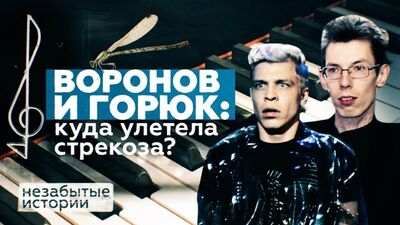 Как сложилась жизнь автора песни «Белая стрекоза любви» Николая Воронова / НЕЗАБЫТЫЕ ИСТОРИИ
