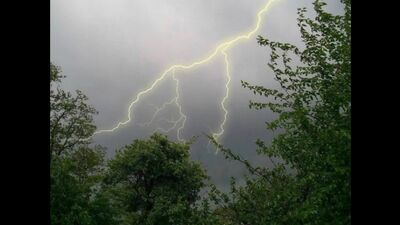 Хочу пожрать TV / Психоделика / remix / пародия / Три в одном