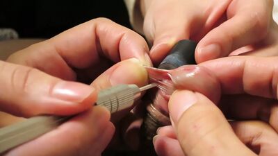 Приступаю к пирсингу члена