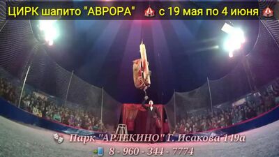 Цирк Шапито "Аврора" в парке "АРЛЕКИНО" 