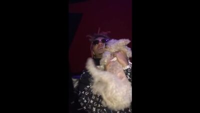 Lil pump house bitch hoe