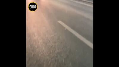 Video by [ТТ] Типичный Тобольск! [official page]