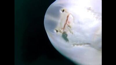 Какие красавцы, как хорошо что есть такие мужики!