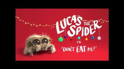 14. Лукас Паук - Не ешь меня • Lucas The Spider