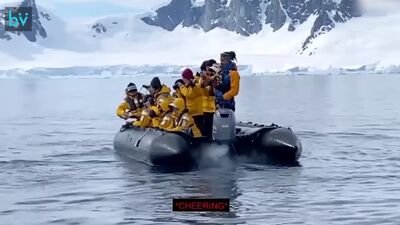 В Антарктиде пингвин запрыгнул в лодку к проплывающим мимо туристам, чтобы спастись от стаи косаток