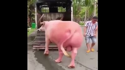 Video by Интересно знать | Мир Фактов