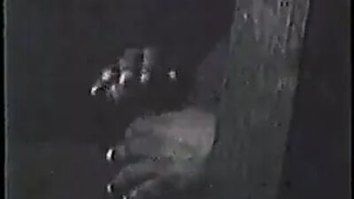 Книжный магазин у глорихола 3 - из серии