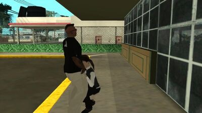 GTA San Andreas Hot Coffee Millie