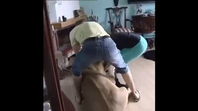 Львица напала на человека