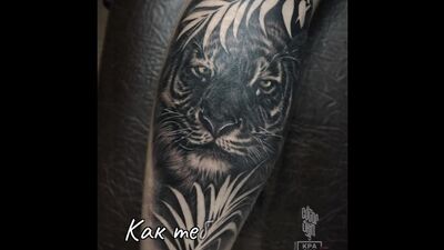 Color Skin - Тату студия в Химках