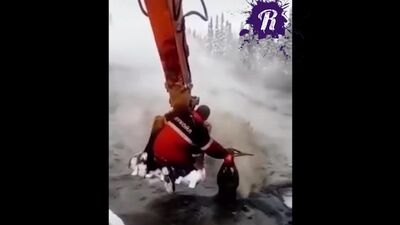 Лукойл разлив нефти