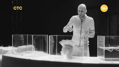 Шоу «Полный блэкаут» | Новый выпуск сегодня 17:00 на СТС!