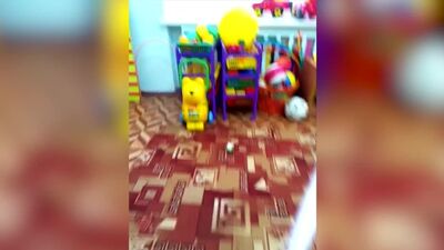 Крыса в детском саду на Урале