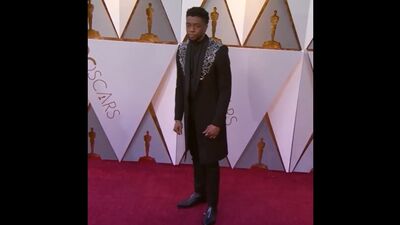 Чёрная Пантера и Оскар