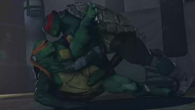 TMNT Raphael X Michelangelo XXX gay porn