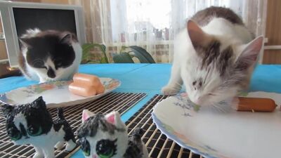 [А ну-ка Давай-ка] СКВИШИ ЧЕЛЛЕНДЖ! SQUISHY FOOD vs REAL FOOD! От Смеха Болят Животы! КОТ МАЛЫШ и КОШКА МУРКА играют