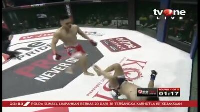 Боец MMA отбил ноги сопернику и победил