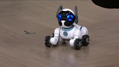 Роботизированный щенок по кличке "Чип"