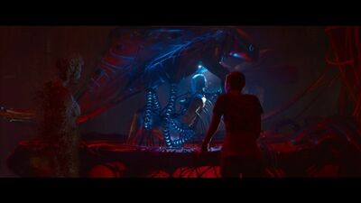 Кэрри-Энн Мосс - Матрица : Воскрешение / Carrie-Anne Moss - The Matrix : Resurrections ( 2021 )